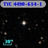 TYC 4490-614-1
