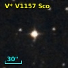 V* V1157 Sco