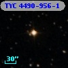 TYC 4490-956-1