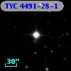 TYC 4491-28-1