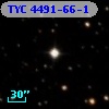 TYC 4491-66-1