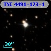 TYC 4491-173-1