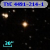 TYC 4491-214-1