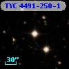 TYC 4491-250-1