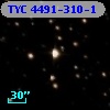 TYC 4491-310-1