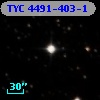 TYC 4491-403-1