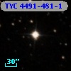 TYC 4491-481-1