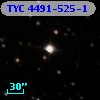 TYC 4491-525-1