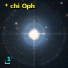 * chi Oph