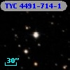 TYC 4491-714-1