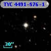 TYC 4491-876-1