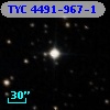 TYC 4491-967-1