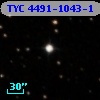 TYC 4491-1043-1