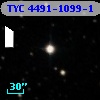 TYC 4491-1099-1