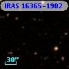 IRAS 16365-1902