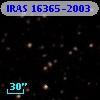 IRAS 16365-2003