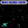 IRAS 16366-2038