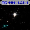 TYC 4491-1123-1