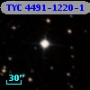 TYC 4491-1220-1
