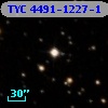 TYC 4491-1227-1