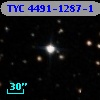 TYC 4491-1287-1