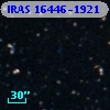 IRAS 16446-1921