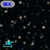 IRAS 16448-2010