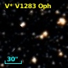 V* V1283 Oph