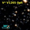 V* V1265 Oph