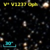 V* V1237 Oph