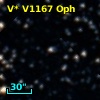 V* V1167 Oph