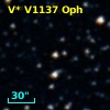 V* V1137 Oph