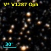 V* V1287 Oph