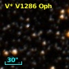 V* V1286 Oph