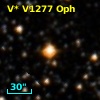 V* V1277 Oph