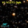 V* V1271 Oph