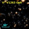 V* V1263 Oph