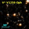 V* V1259 Oph