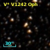 V* V1242 Oph