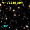 V* V1238 Oph