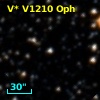 V* V1210 Oph