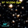 V* V1204 Oph