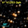 V* V1203 Oph
