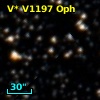 V* V1197 Oph