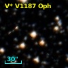 V* V1187 Oph