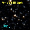V* V1185 Oph