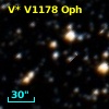 V* V1178 Oph
