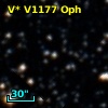 V* V1177 Oph