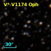V* V1174 Oph