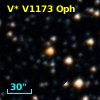 V* V1173 Oph